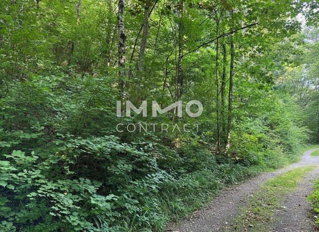 Grundstück kaufen in Sankt Pölten Land – 3 409 m², € 530.000 – Bild 4 von 9