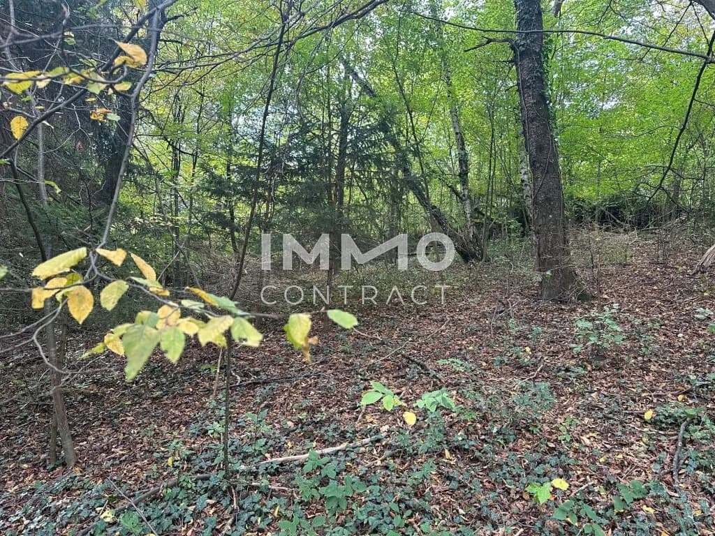 Grundstück kaufen in Sankt Pölten Land – 3 409 m², € 530.000 – Bild 5 von 9