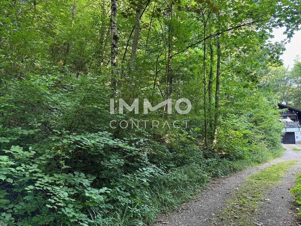 Grundstück kaufen in Sankt Pölten Land – 3 409 m², € 530.000 – Bild 6 von 9