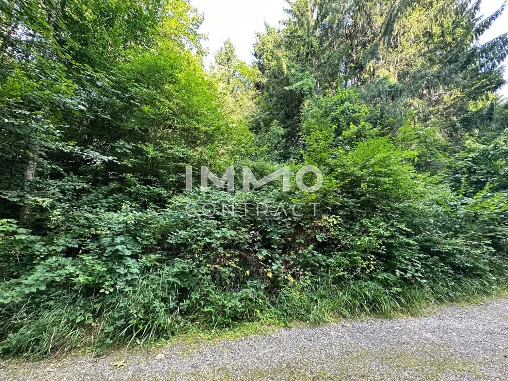 Grundstück kaufen in Sankt Pölten Land – 3 409 m², € 530.000 – Bild 7 von 9