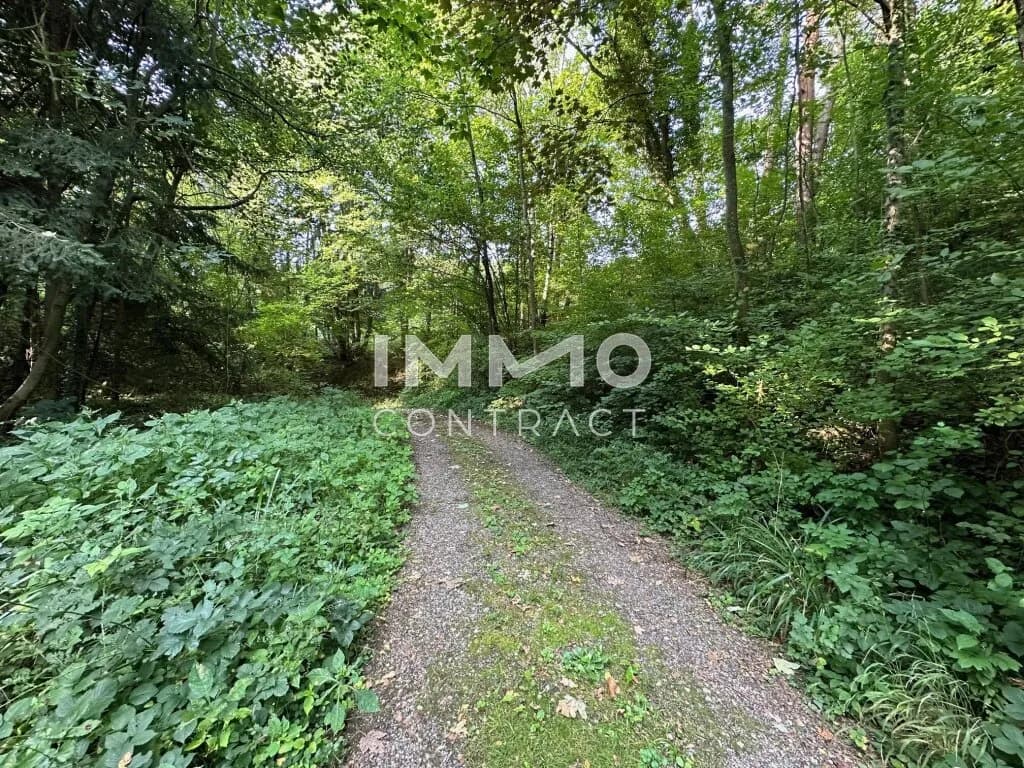 Grundstück kaufen in Sankt Pölten Land – 3 409 m², € 530.000 – Bild 8 von 9