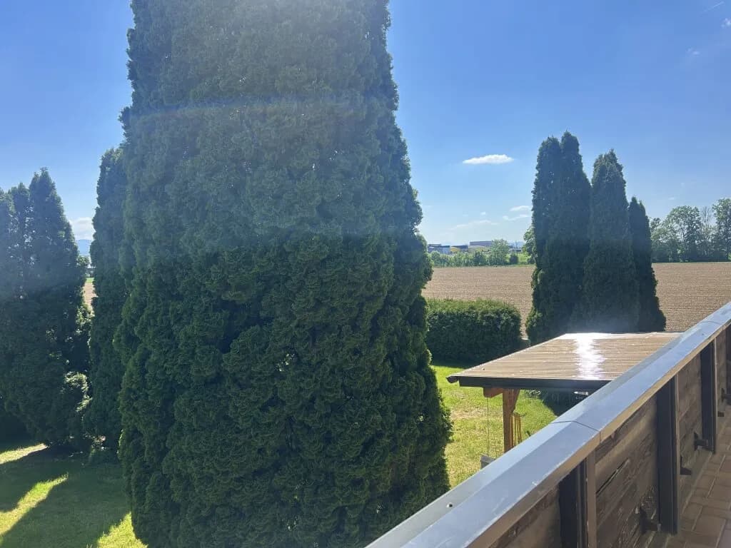 Gewerbeimmobilie kaufen in Wels-Land – 581 m², € 1.400.000 – Bild 3 von 5
