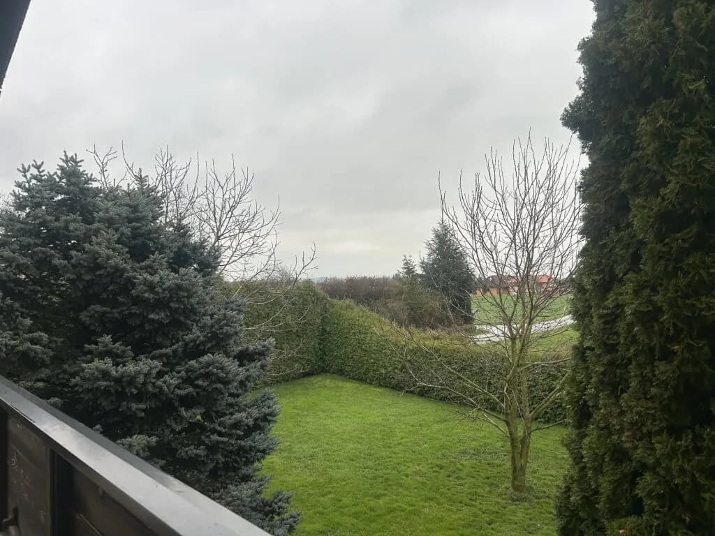 Gewerbeimmobilie kaufen in Wels-Land – 581 m², € 1.400.000 – Bild 4 von 5