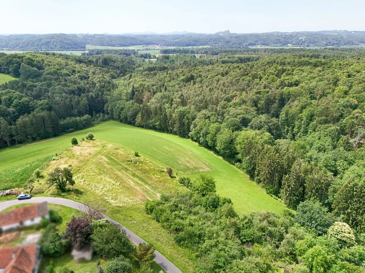 Grundstück kaufen in Hartberg-Fürstenfeld – 10 321 m², € 99.000