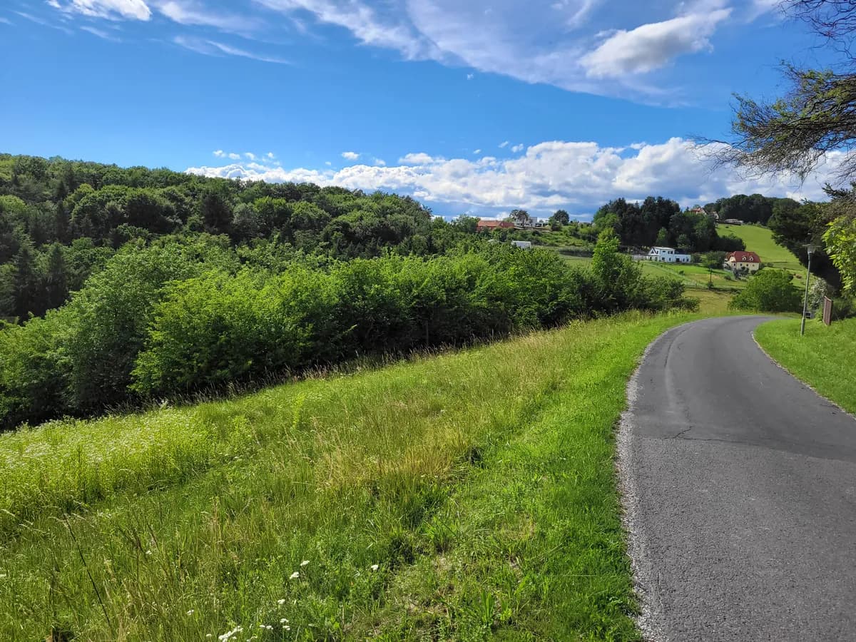 Grundstück kaufen in Hartberg-Fürstenfeld – 10 321 m², € 99.000 – Bild 2 von 9