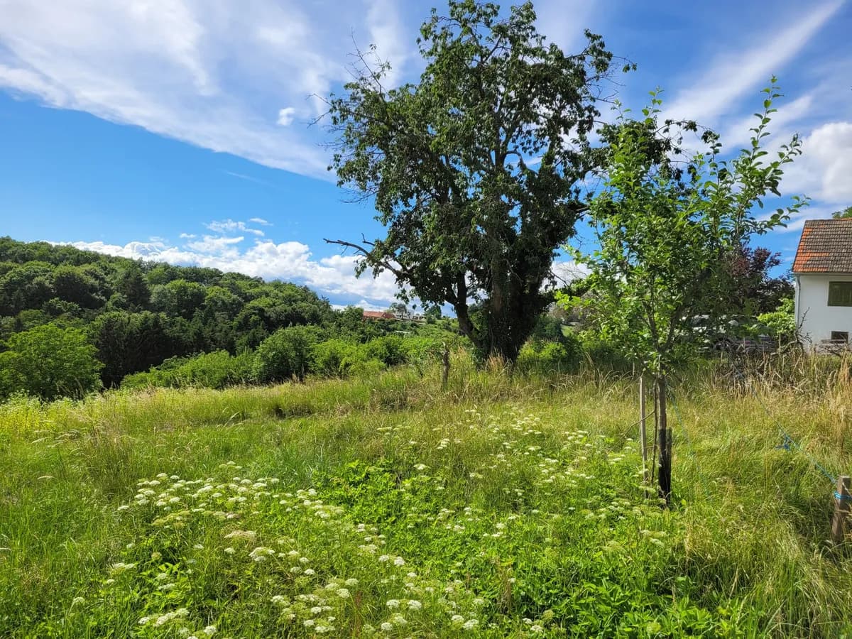 Grundstück kaufen in Hartberg-Fürstenfeld – 10 321 m², € 99.000 – Bild 4 von 9