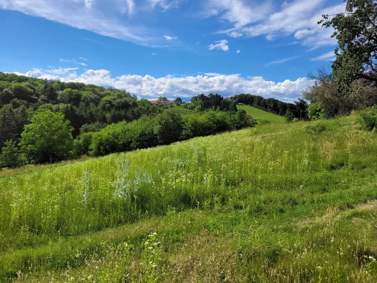 Grundstück kaufen in Hartberg-Fürstenfeld – 10 321 m², € 99.000 – Bild 6 von 9