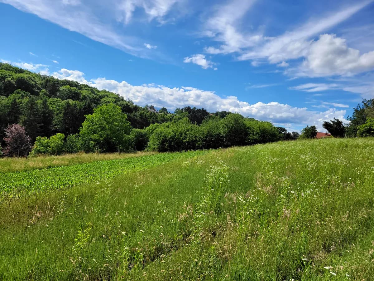 Grundstück kaufen in Hartberg-Fürstenfeld – 10 321 m², € 99.000 – Bild 7 von 9