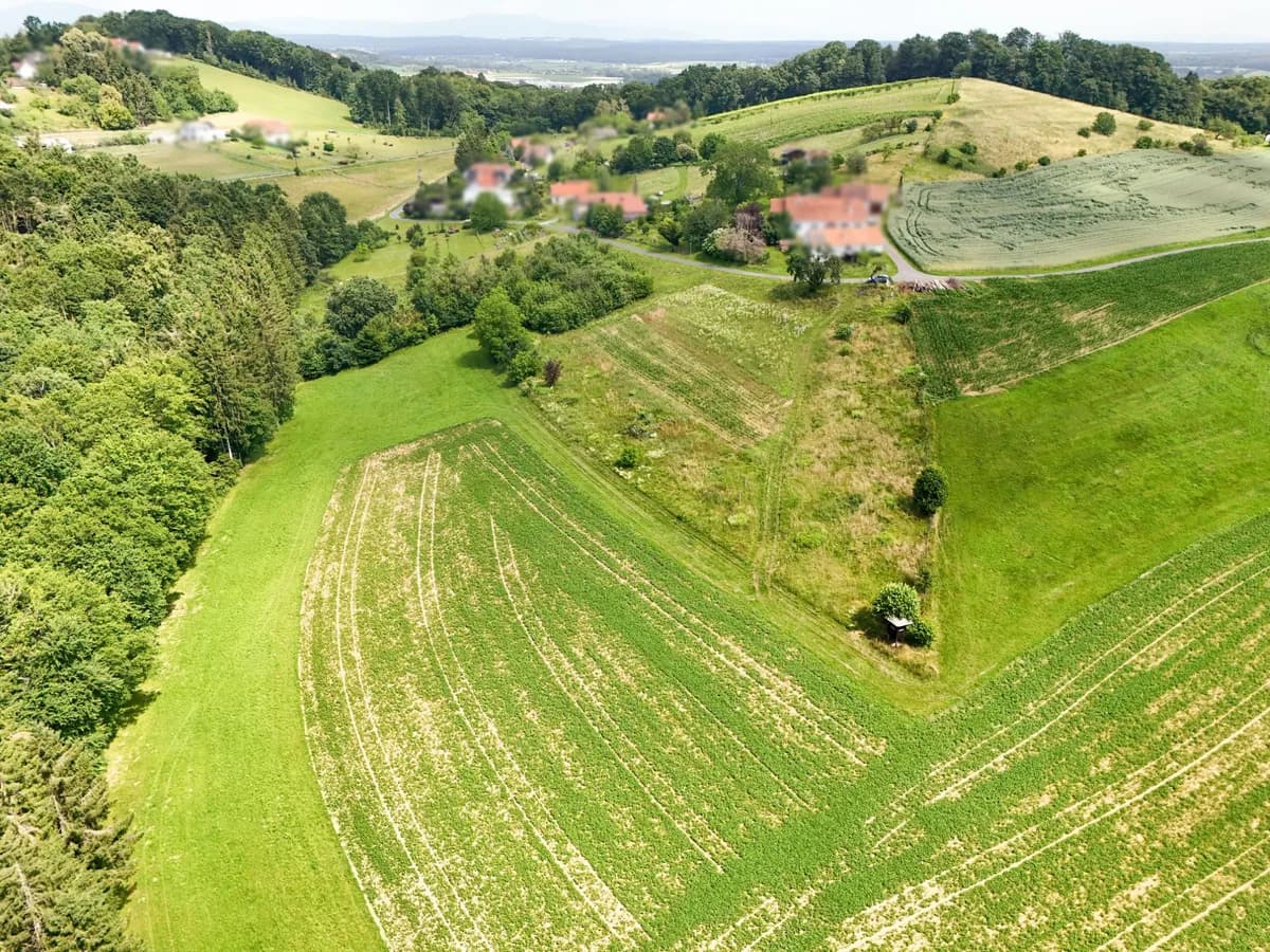 Grundstück kaufen in Hartberg-Fürstenfeld – 10 321 m², € 99.000 – Bild 8 von 9