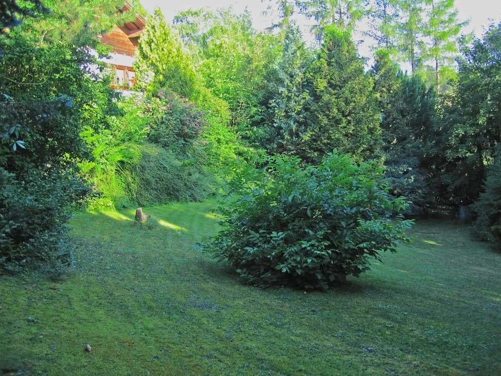 5-Zimmer-Haus kaufen in Baden – 220 m², € 795.000 – Bild 4 von 15