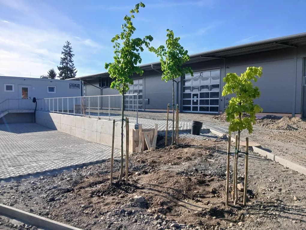 Gewerbeimmobilie mieten in Südoststeiermark – 2 634 m², € 5 – Bild 4 von 8
