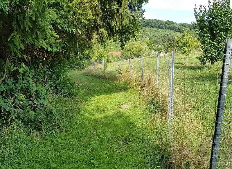 Grundstück kaufen in Mödling – 2 060 m², € 28.990 – Bild 5 von 13