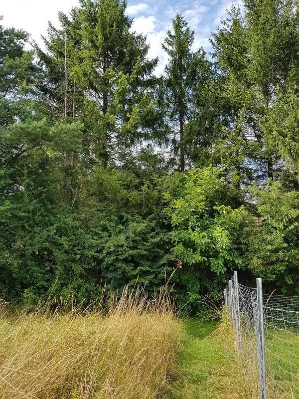 Grundstück kaufen in Mödling – 2 060 m², € 28.990 – Bild 12 von 13