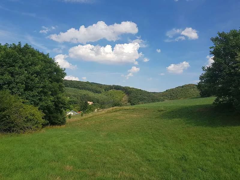 Grundstück kaufen in Mödling – 2 060 m², € 28.990 – Bild 13 von 13