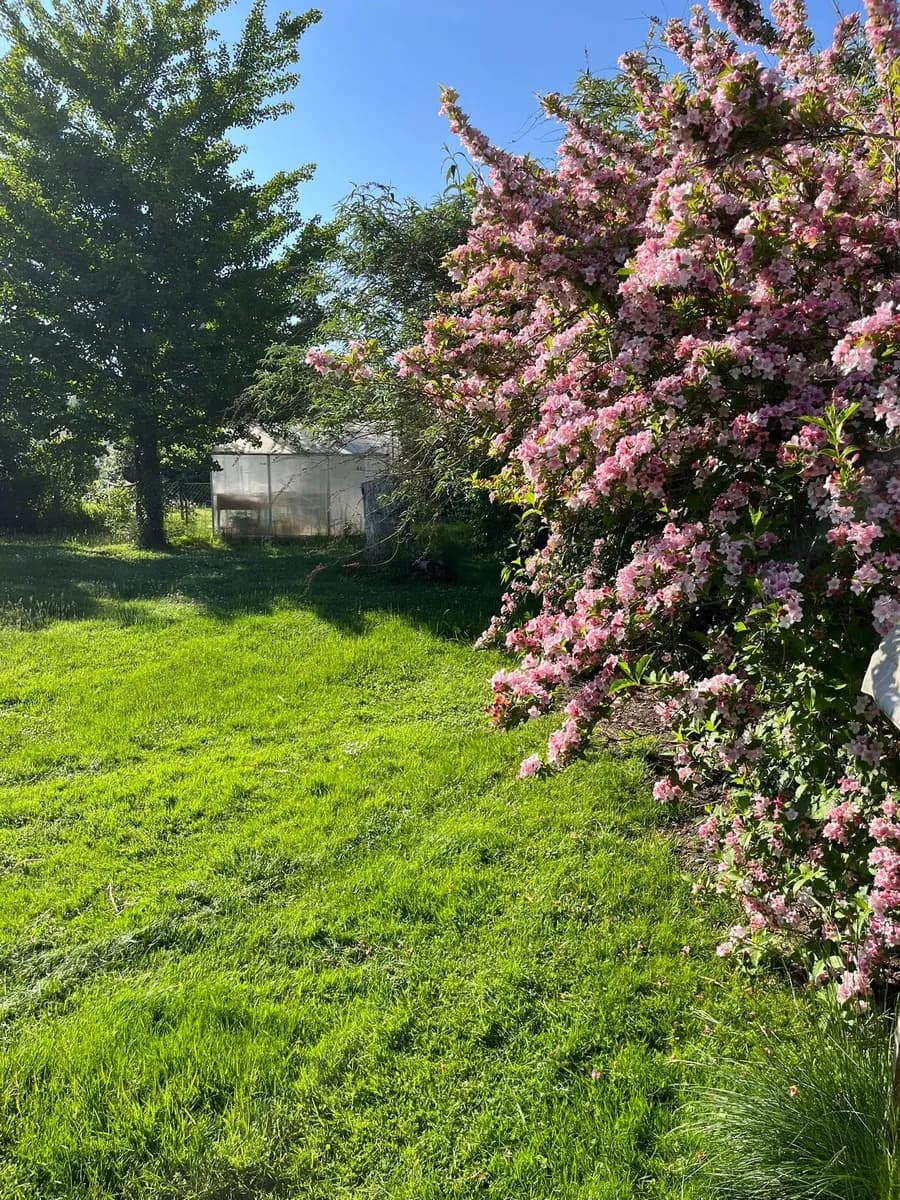 Grundstück kaufen in Linz – 827 m², € 398.000 – Bild 7 von 14