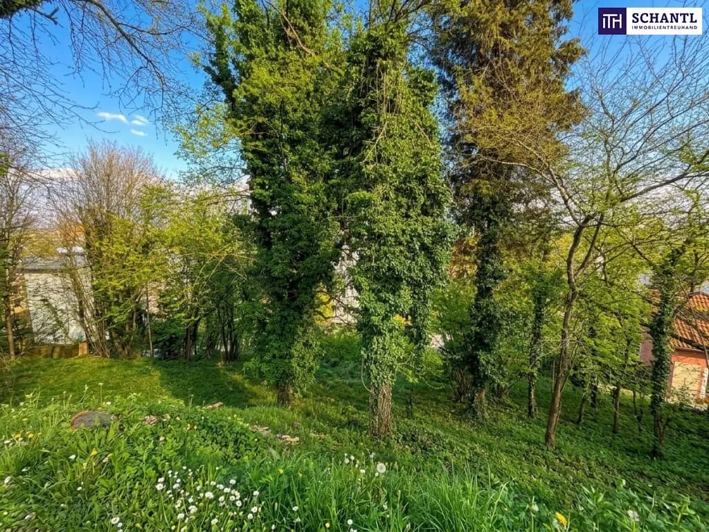 Grundstück kaufen in Graz – 1 666 m², € 539.000 – Bild 6 von 9
