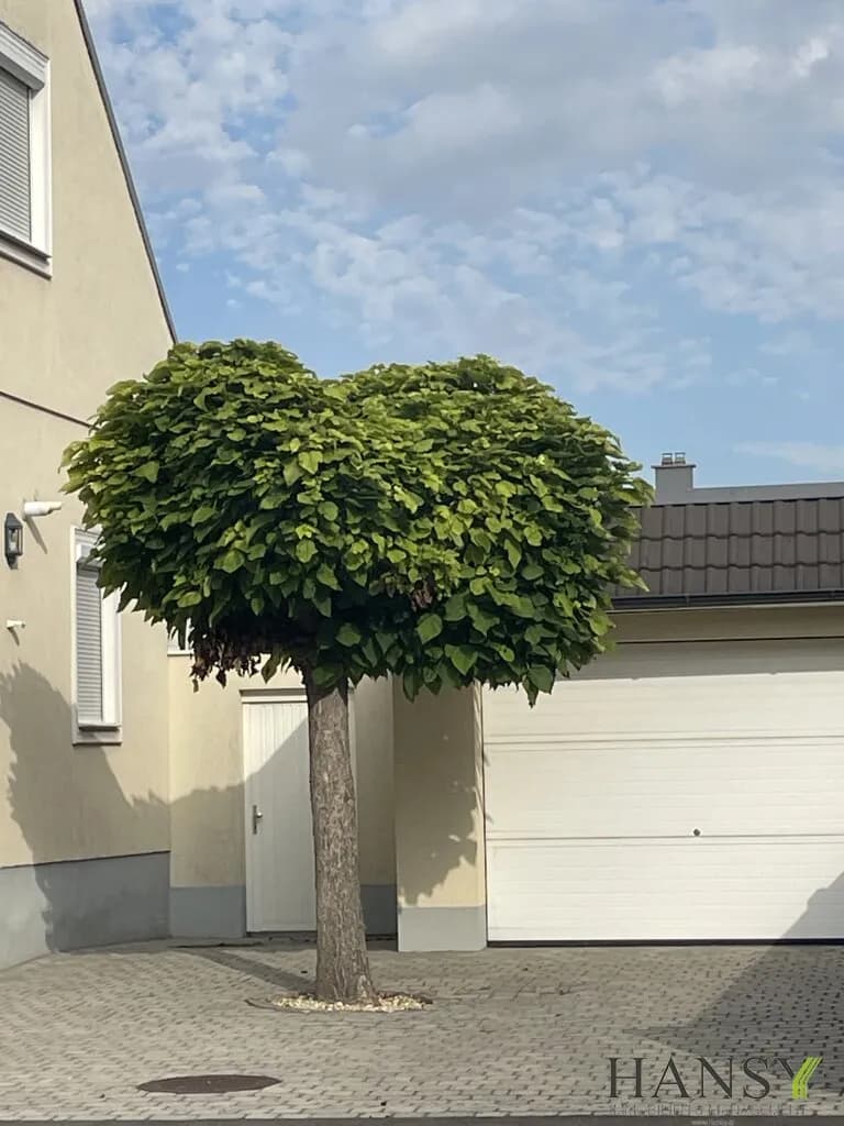 5-Zimmer-Immobilie kaufen in Baden – 200 m², € 845.000 – Bild 40 von 42