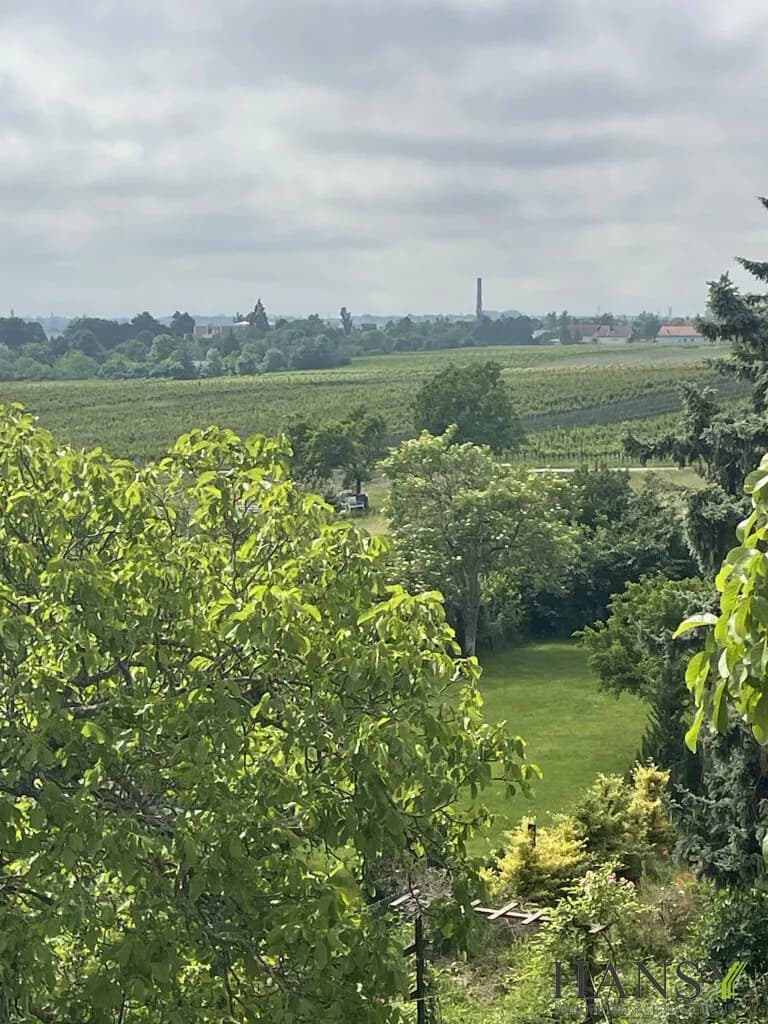 Grundstück kaufen in Baden – 2 059 m², € 1.149.000 – Bild 1 von 12