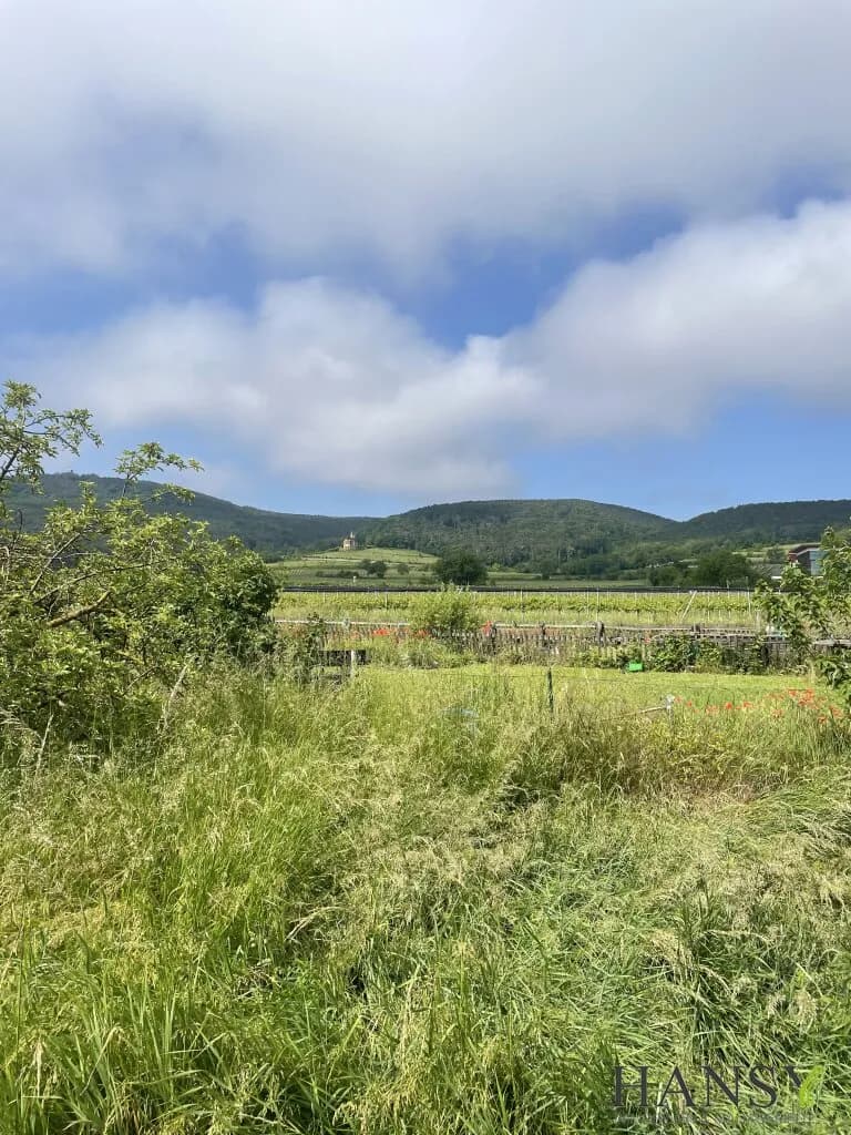 Grundstück kaufen in Baden – 2 059 m², € 1.149.000 – Bild 3 von 12