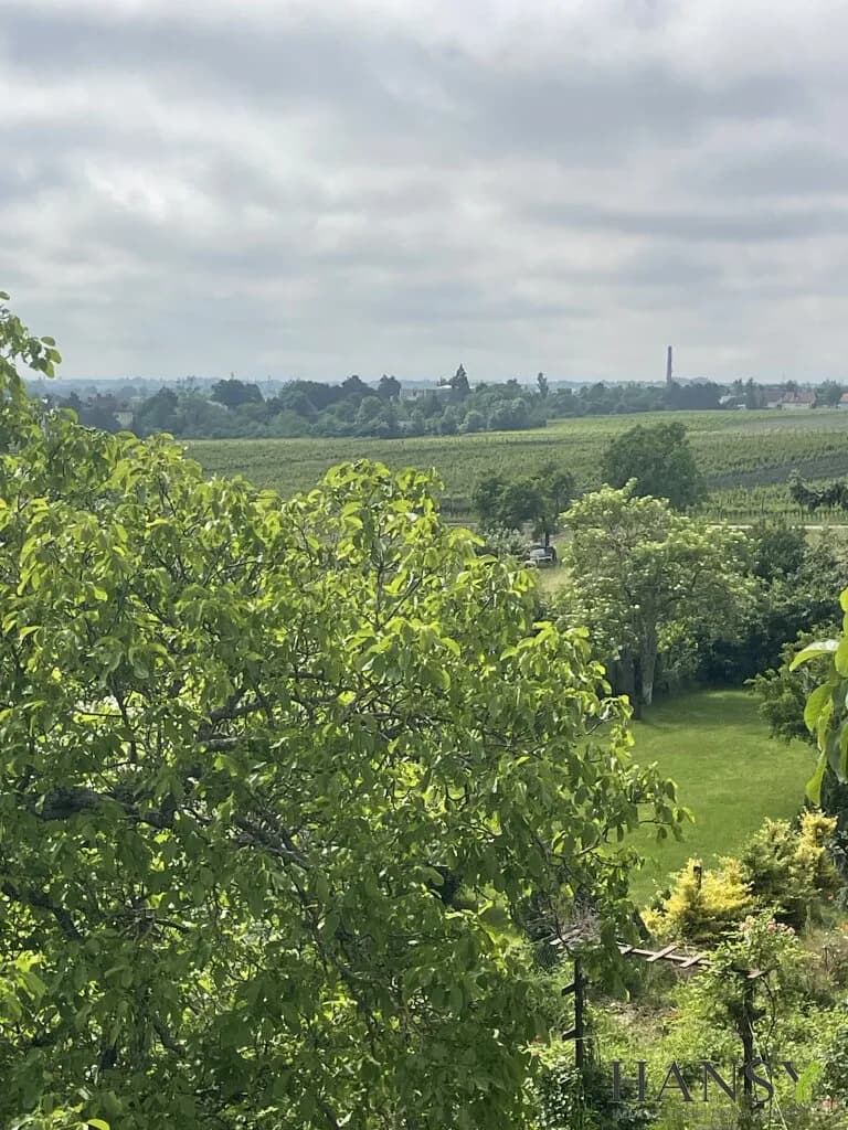 Grundstück kaufen in Baden – 2 059 m², € 1.149.000 – Bild 11 von 12