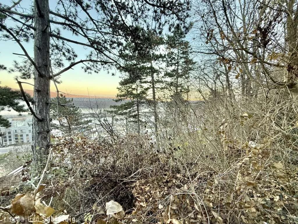 Grundstück kaufen in Wien – 880 m², € 149.000 – Bild 5 von 12
