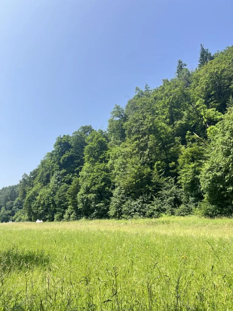Immobilie kaufen in Graz – 3 952 m², € 47.424