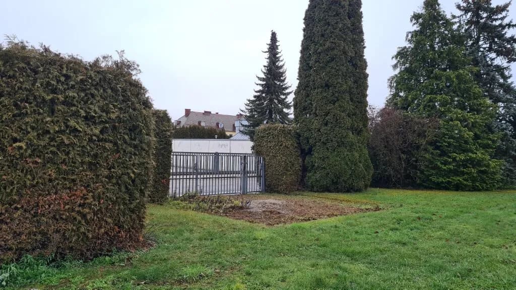 Gewerbeimmobilie mieten in Wels – 560 m², € 5.000 – Bild 41 von 60
