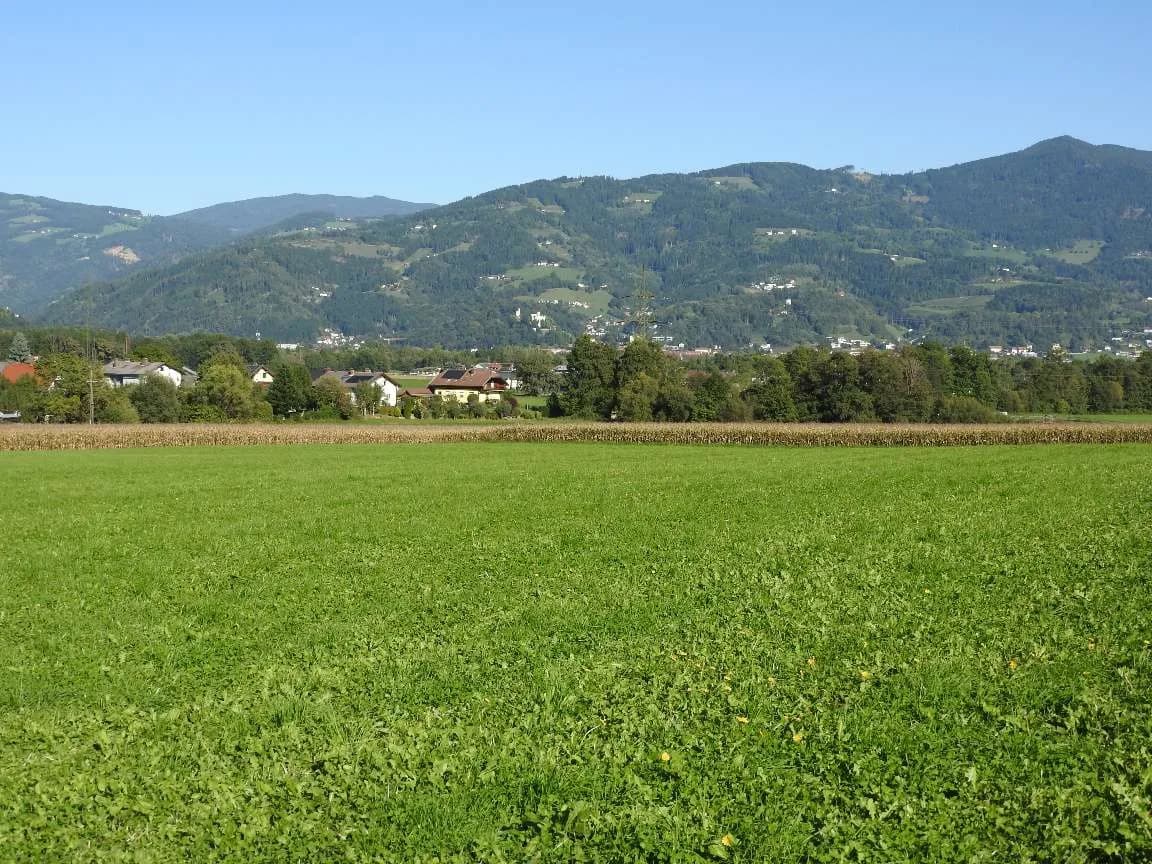 Grundstück kaufen in Wolfsberg – 101 685 m²