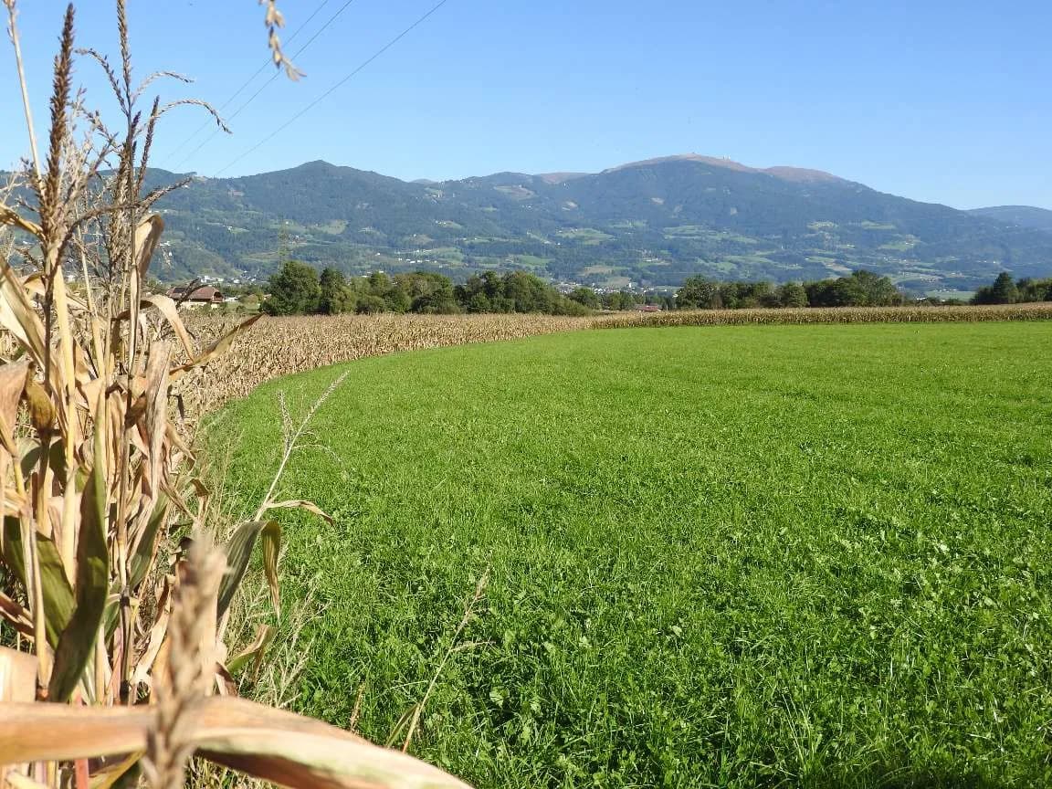 Grundstück kaufen in Wolfsberg – 101 685 m² – Bild 2 von 4