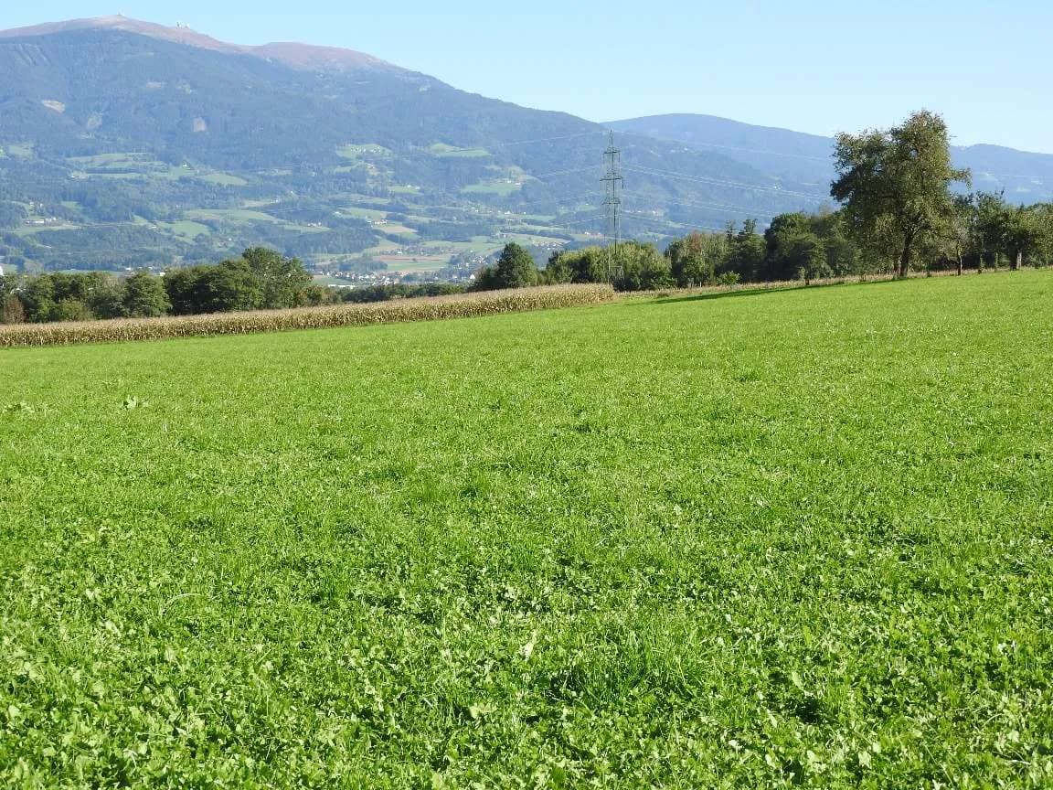 Grundstück kaufen in Wolfsberg – 101 685 m² – Bild 4 von 4