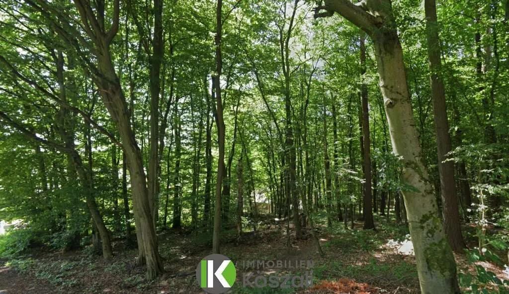 Grundstück kaufen in Tulln – 4 240 m², € 389.000 – Bild 1 von 3