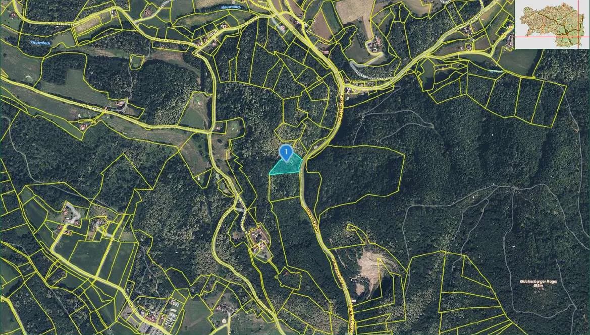 Immobilie kaufen in Südoststeiermark – 5 265 m² – Bild 6 von 6