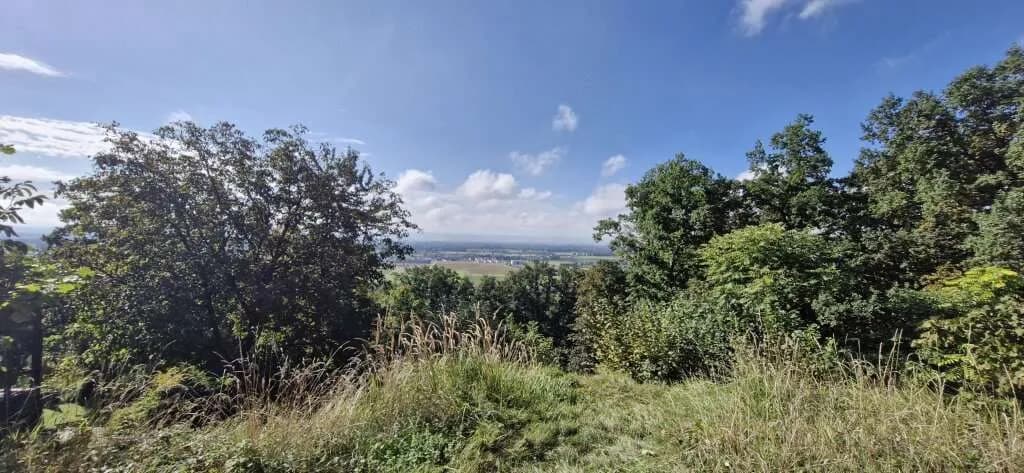 Grundstück kaufen in Urfahr-Umgebung – 510 m², € 175.000