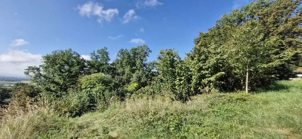 Grundstück kaufen in Urfahr-Umgebung – 510 m², € 175.000 – Bild 3 von 8