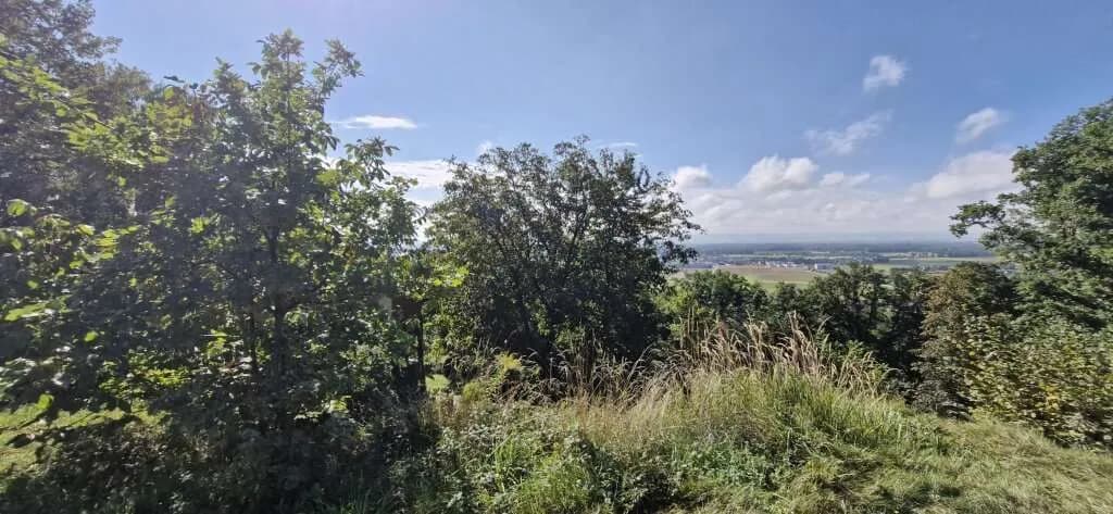 Grundstück kaufen in Urfahr-Umgebung – 510 m², € 175.000 – Bild 4 von 8