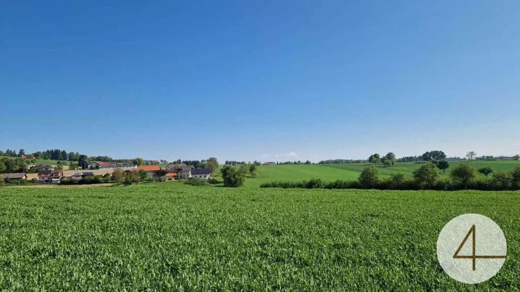 Grundstück kaufen in Grieskirchen – 705 m²