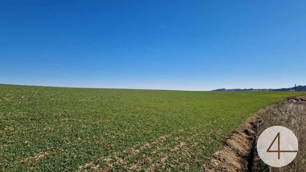Grundstück kaufen in Grieskirchen – 705 m² – Bild 6 von 6