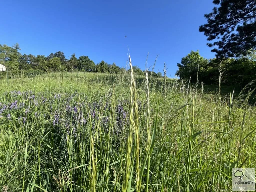 Grundstück kaufen in Tulln – 1 400 m², € 980.000