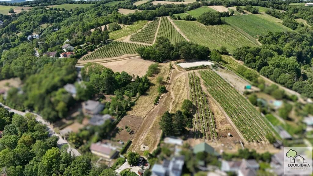 Grundstück kaufen in Tulln – 1 400 m², € 980.000 – Bild 6 von 24