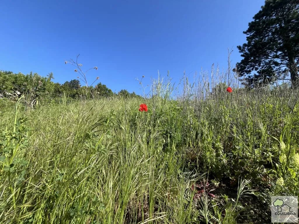 Grundstück kaufen in Tulln – 1 400 m², € 980.000 – Bild 8 von 24