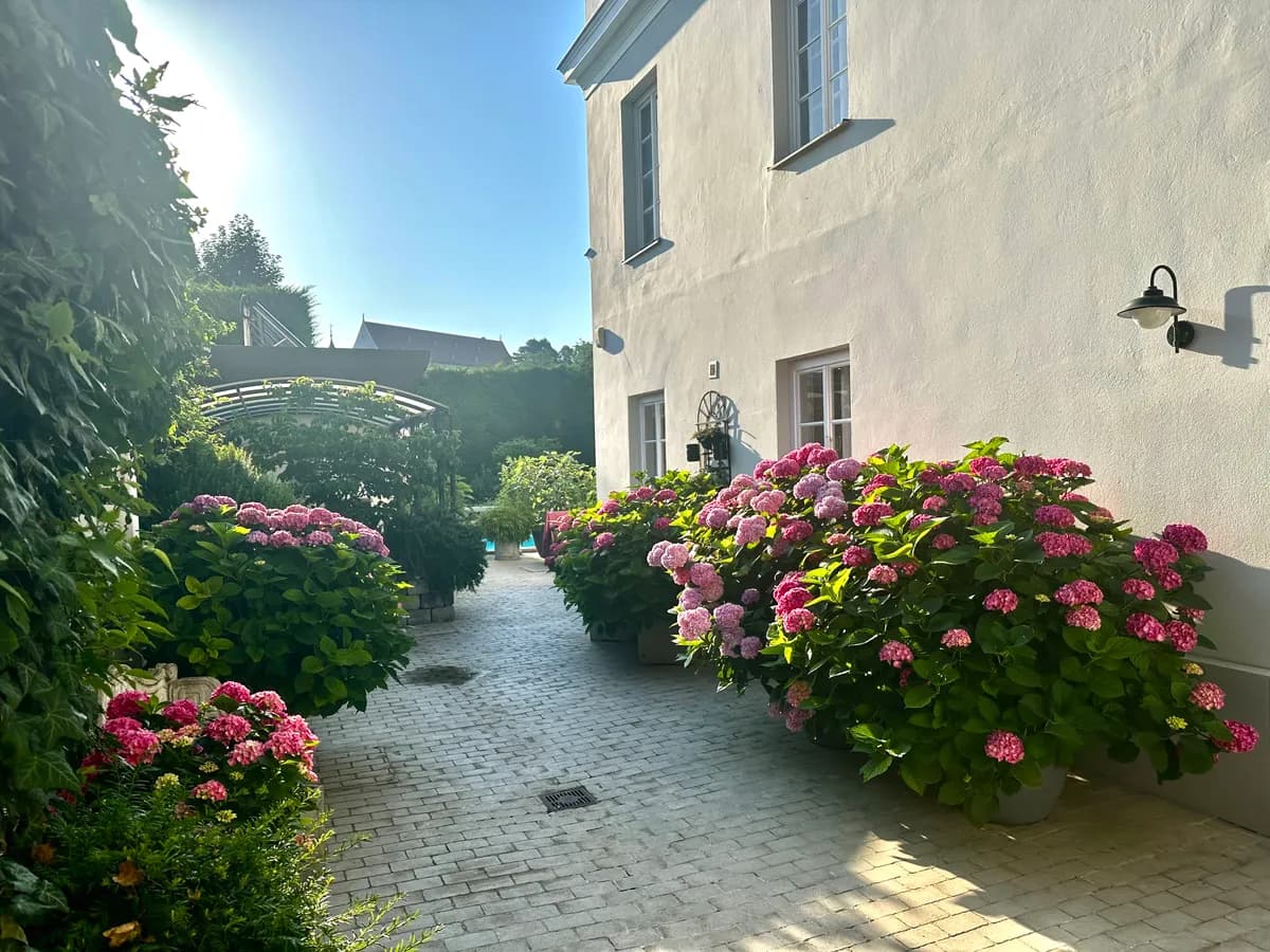 6-Zimmer-Wohnung kaufen in Tulln – 245 m², € 1.800.000 – Bild 15 von 21