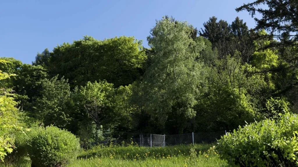 5-Zimmer-Haus kaufen in Tulln – 103,75 m², € 550.000 – Bild 13 von 30