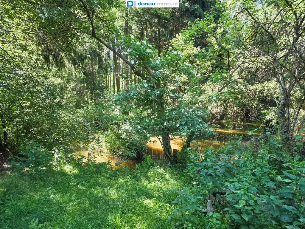 4-Zimmer-Immobilie kaufen in Gmünd – 135 m², € 189.000 – Bild 9 von 45