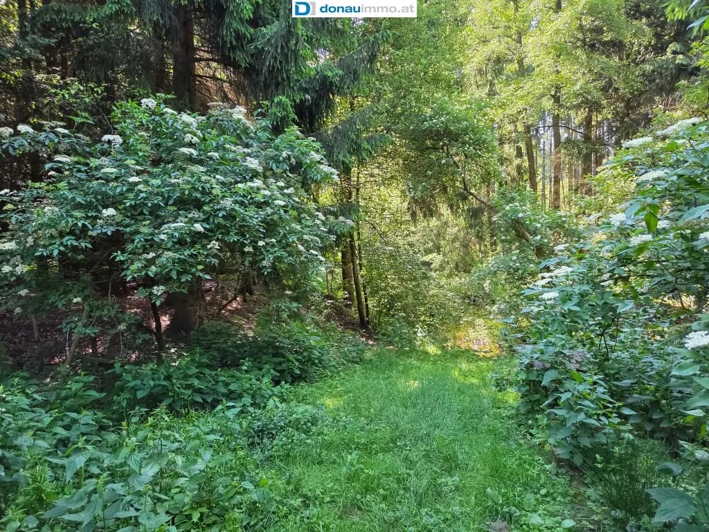 4-Zimmer-Immobilie kaufen in Gmünd – 135 m², € 189.000 – Bild 10 von 45