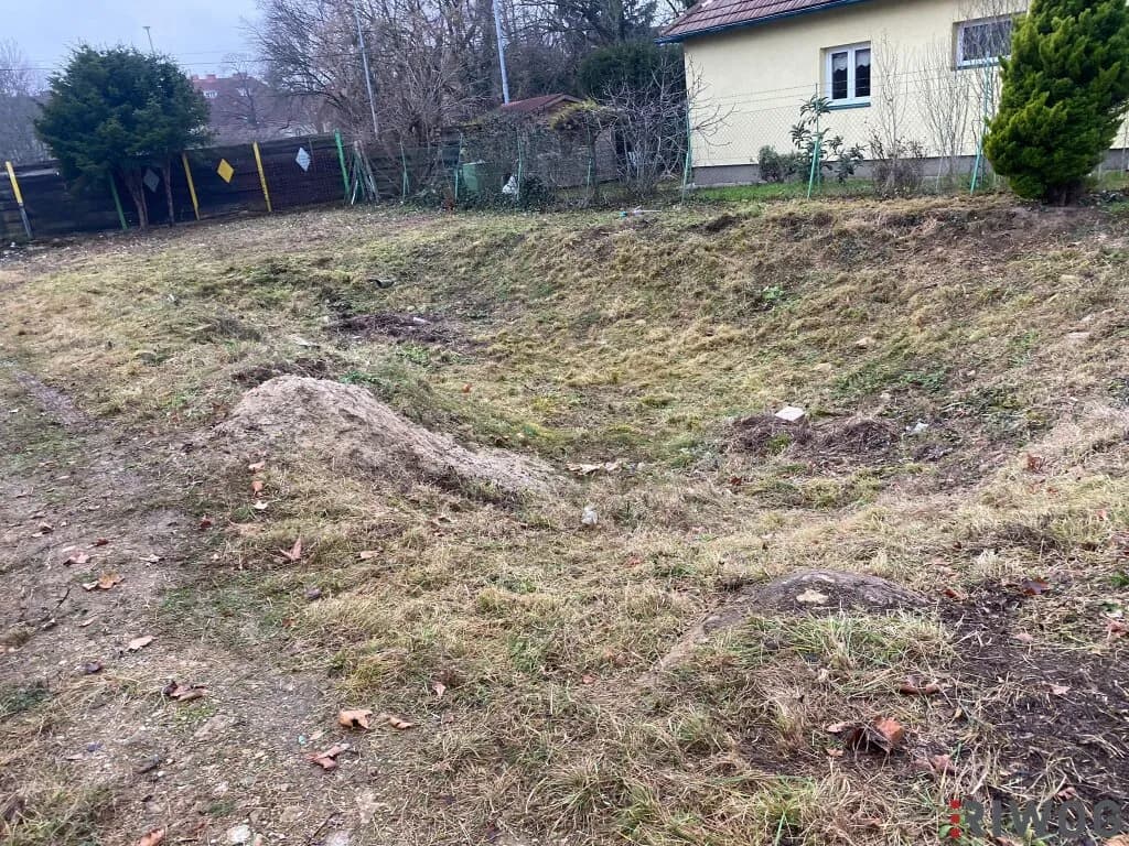 4-Zimmer-Haus kaufen in Wien – 149,53 m², € 625.000 – Bild 5 von 10