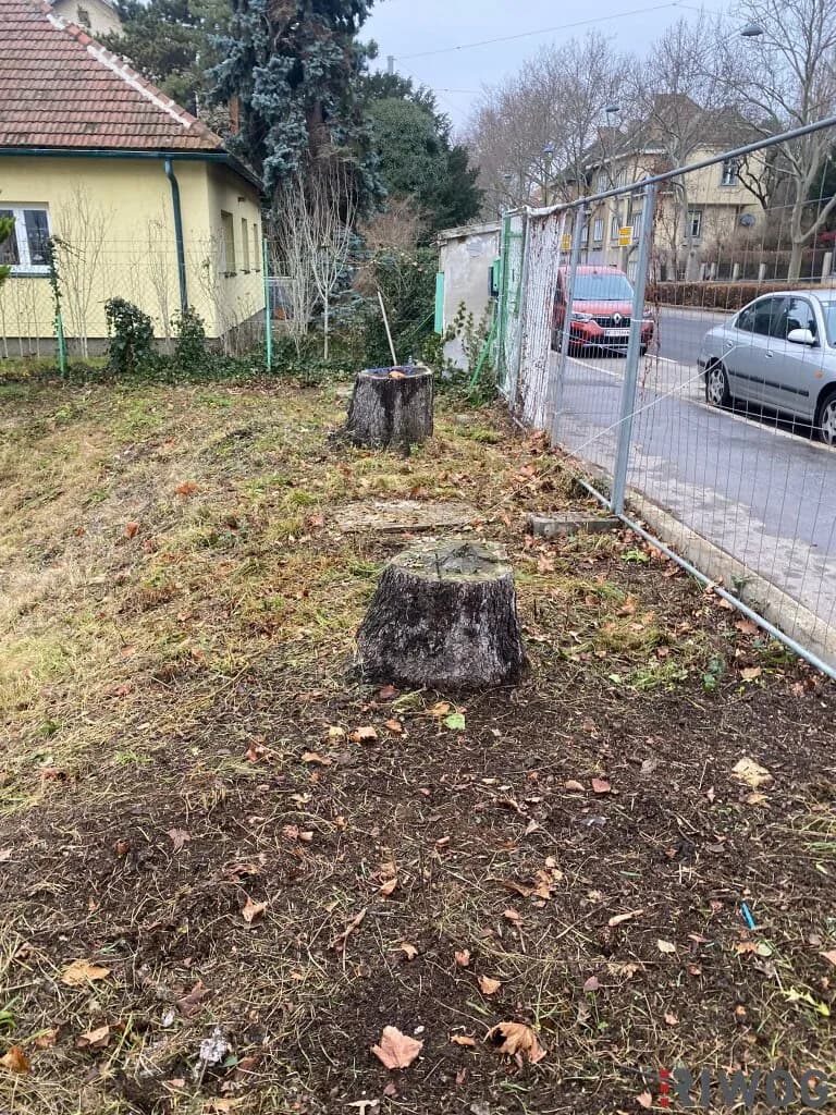 4-Zimmer-Haus kaufen in Wien – 149,53 m², € 625.000 – Bild 7 von 10