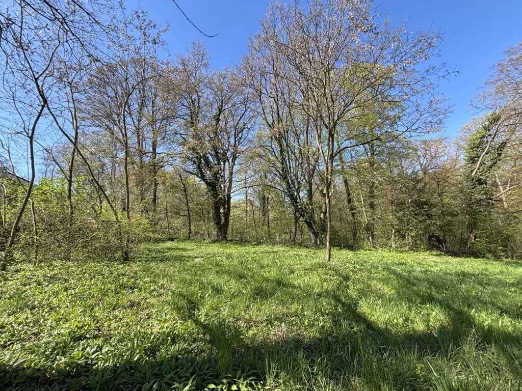 Grundstück kaufen in Tulln – 594 m², € 475.000 – Bild 1 von 6