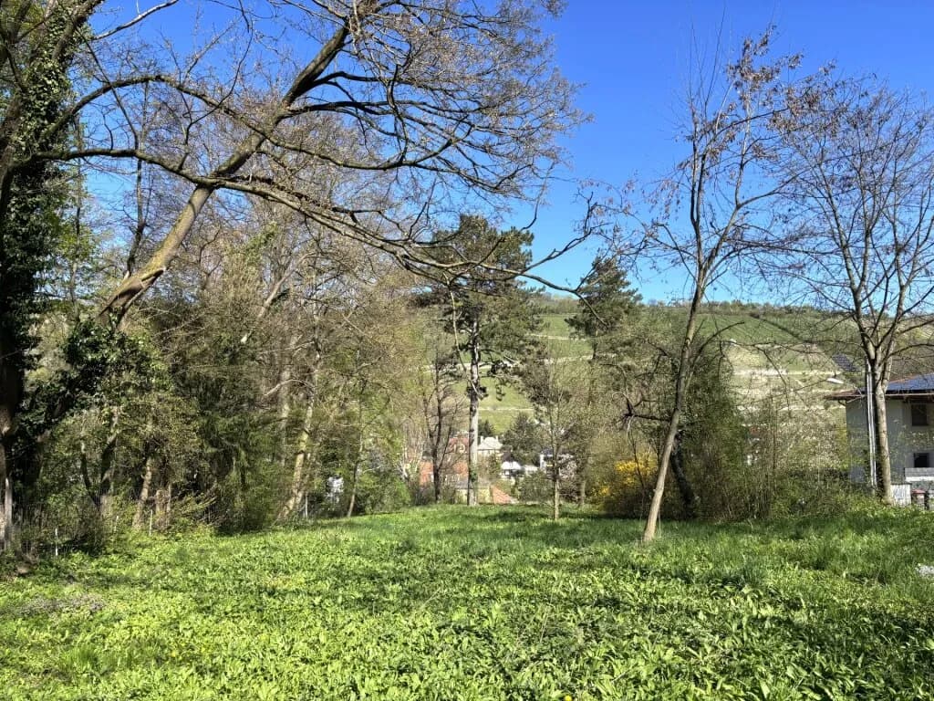 Grundstück kaufen in Tulln – 594 m², € 475.000 – Bild 2 von 6