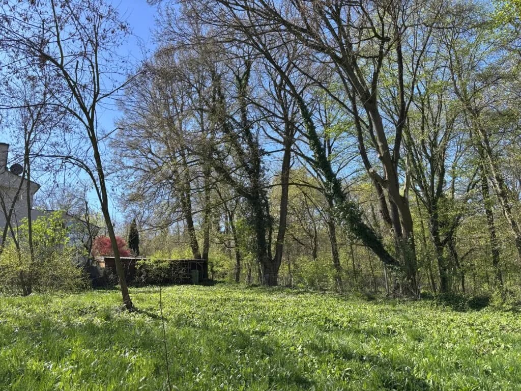 Grundstück kaufen in Tulln – 594 m², € 475.000 – Bild 3 von 6