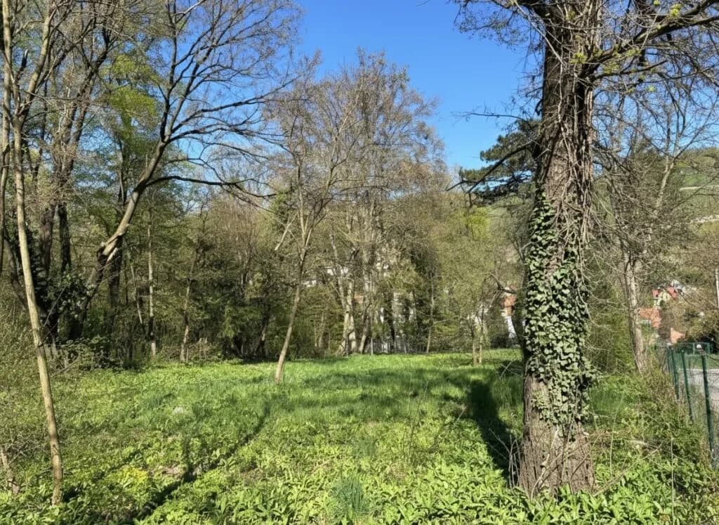 Grundstück kaufen in Tulln – 594 m², € 475.000 – Bild 4 von 6